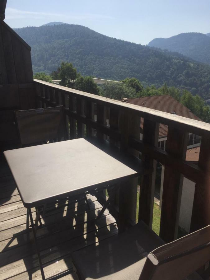 Charmant T3 Bussang, Vosges, Vue Imprenable Екстериор снимка